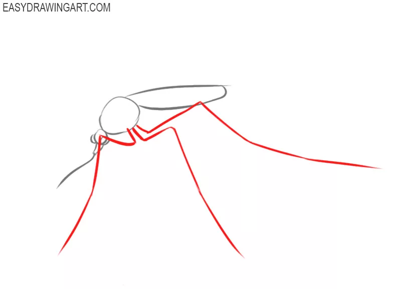 how to draw a mosquito step by step