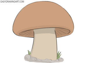 How to draw a mushroom