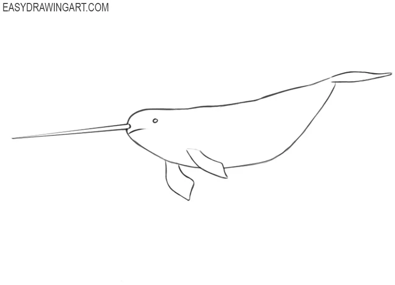 how to draw a narwhal cartoon