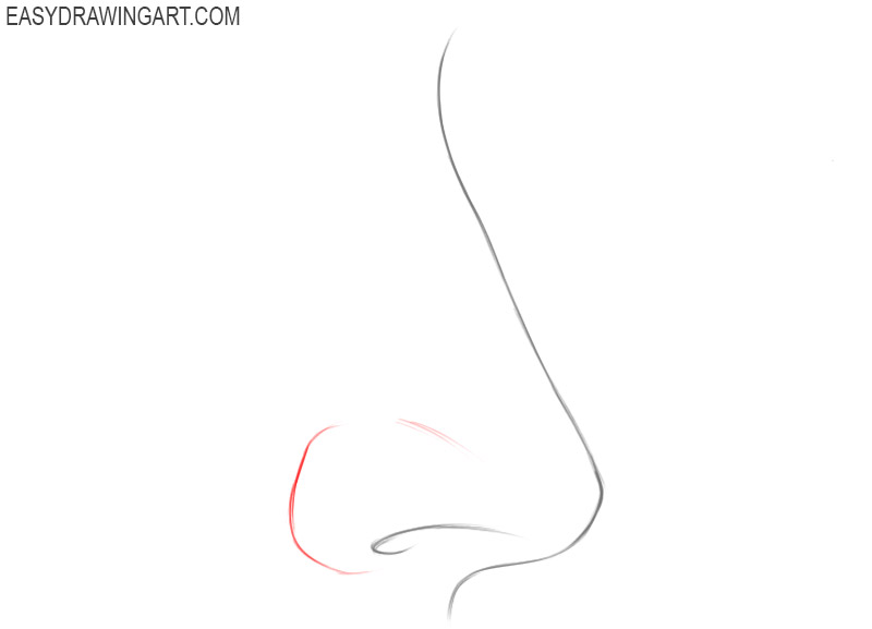 How to draw a nose easy
