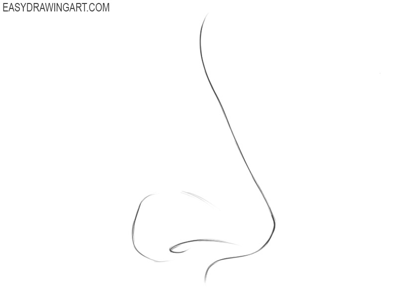 Nose drawing