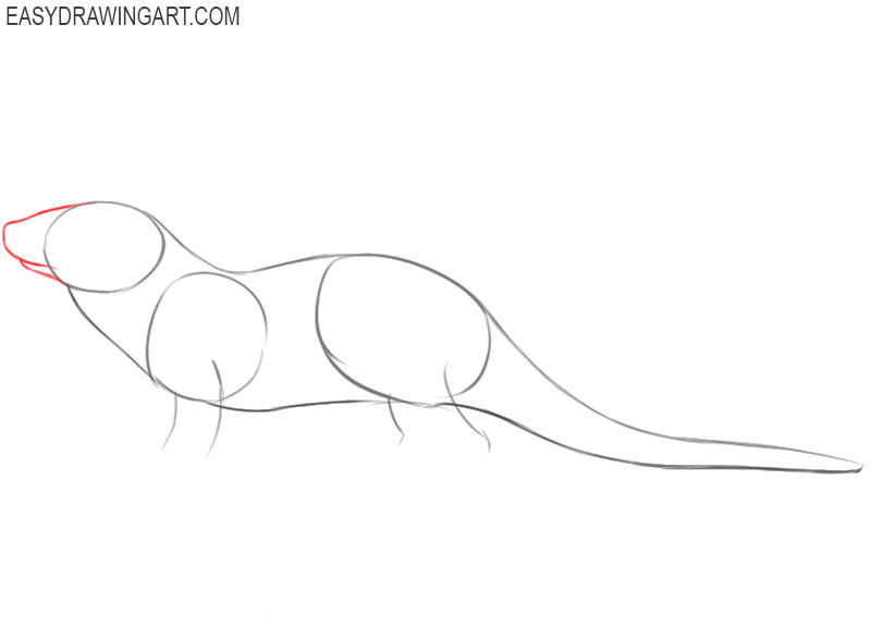 how to draw a otter step by step