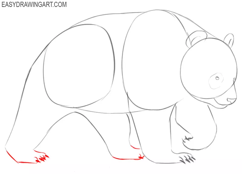 how to draw a panda cartoon step by step