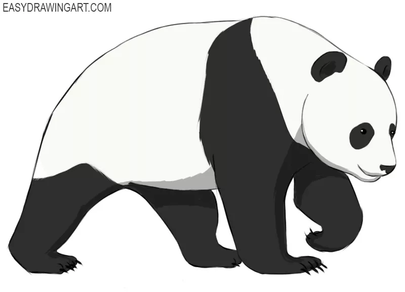 how to draw a panda
