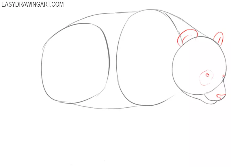 how to draw a panda bear step by step