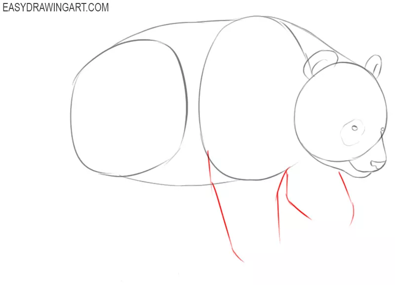 how to draw a panda by steps