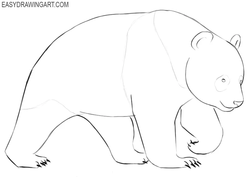 how to draw a panda easy realistic