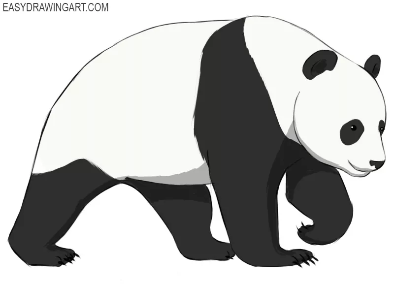 how to draw a panda face | Simple face drawing, Panda drawing, Drawings