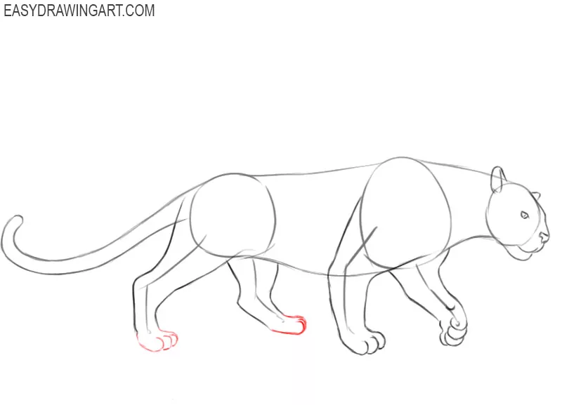 panther drawing pictures