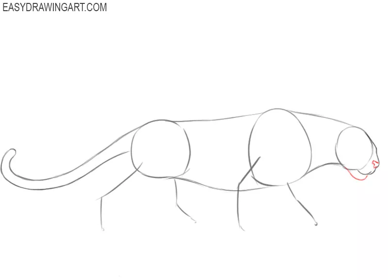 steps on how to draw a panther