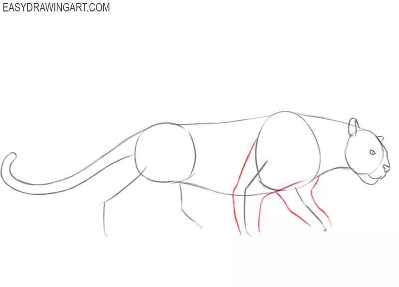 panther drawing step by step
