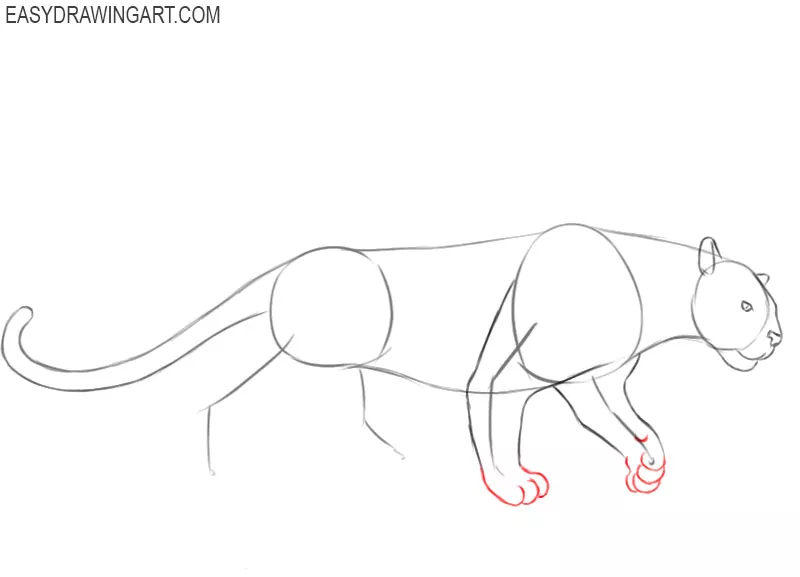 panther drawing images