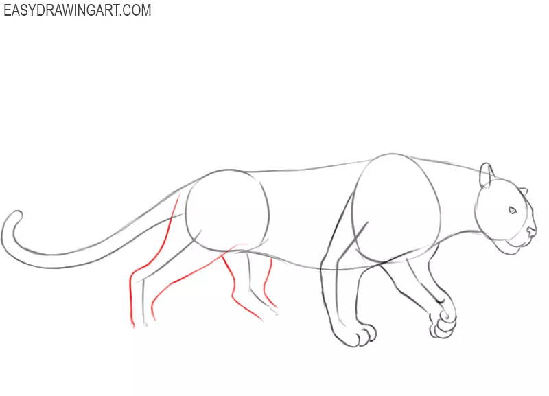 panther drawings sketches