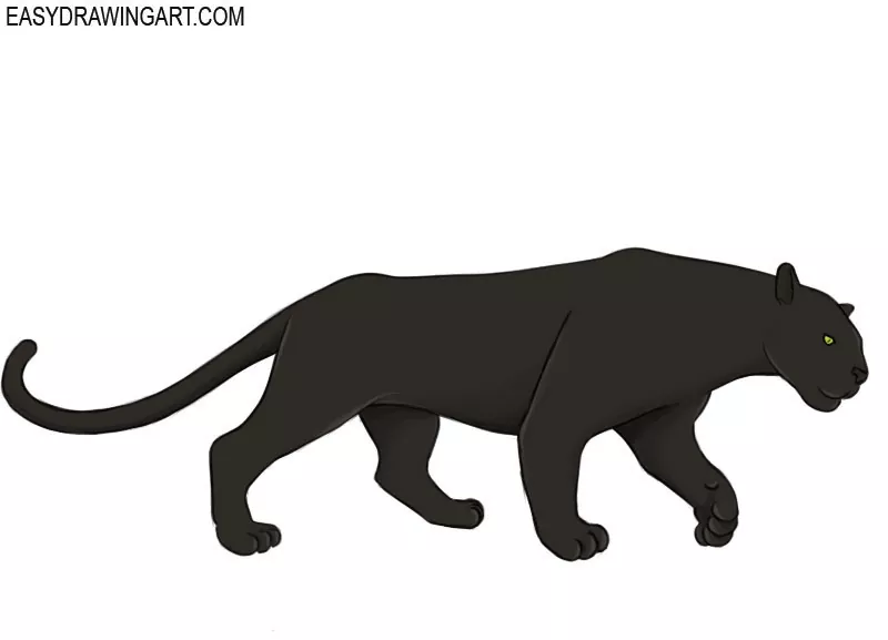 How to Draw a Panther Easy Drawing Art