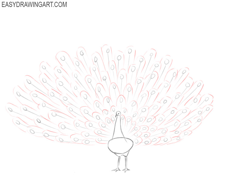 Page 3 | Peacock drawing Vectors & Illustrations for Free Download | Freepik