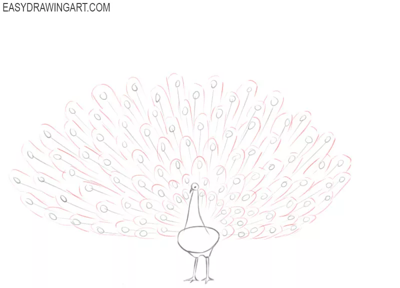 how to draw a peacock by pencil