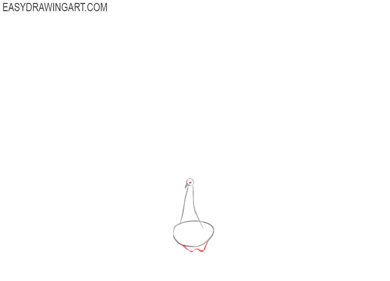 how to draw a peacock body