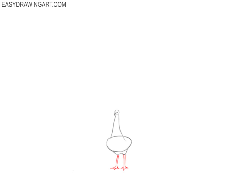 how to draw a peacock with a pencil
