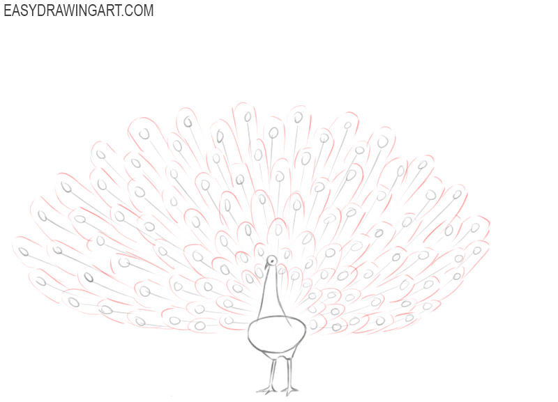 how to draw a peacock by pencil