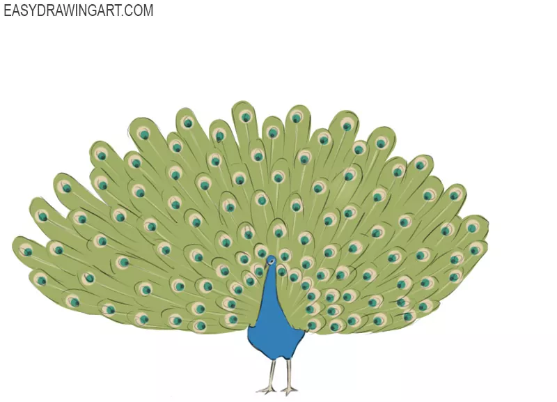How to Draw a Peacock - Easy Drawing Tutorial For Kids