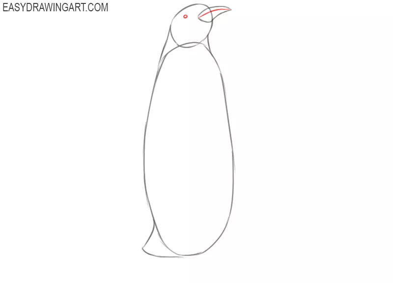 how to draw a penguin cute