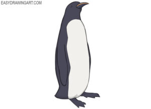 How to draw a penguin