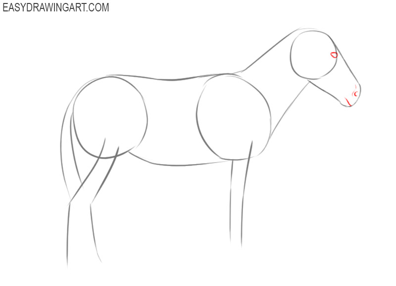 how to draw a picture of a donkey 