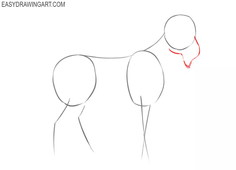 how to draw a picture of a goat