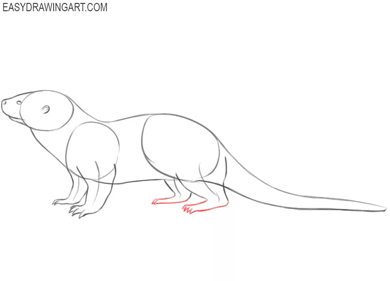 how to draw a picture of otter 