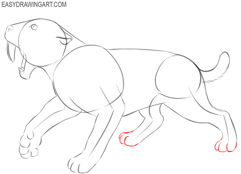 saber tooth tiger drawing pictures