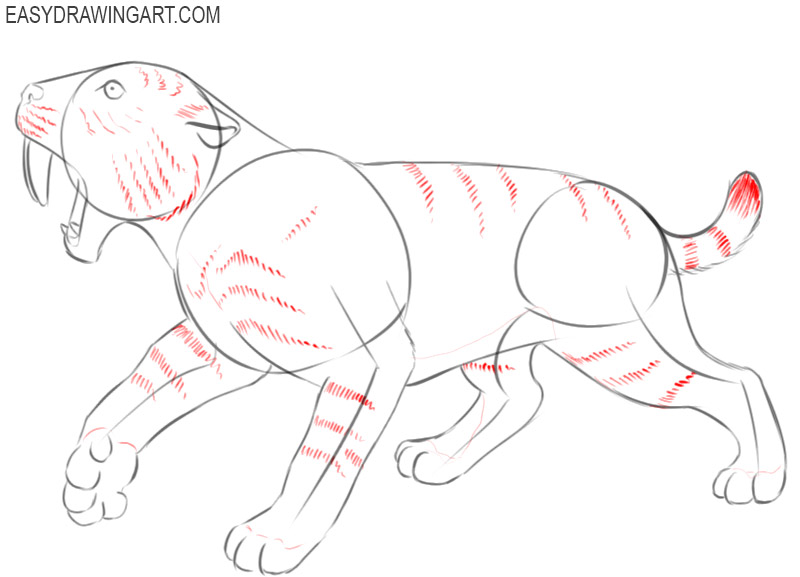 saber tooth tiger drawing easy