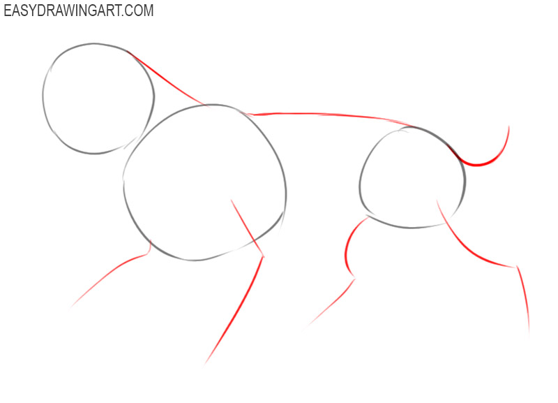 how to draw a saber tooth tiger easy