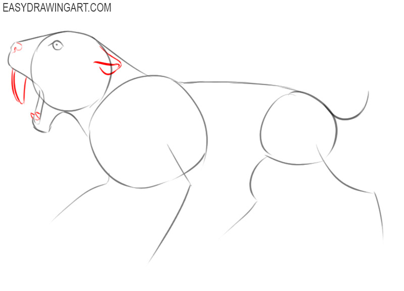 how to draw a saber tooth tiger cartoon