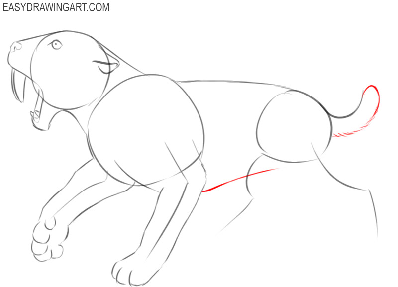 saber tooth tiger drawing step by step