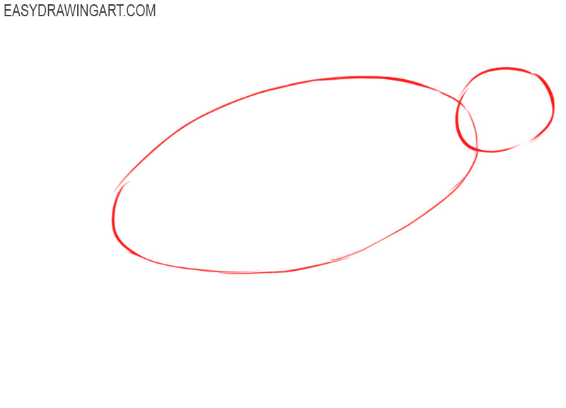 how to draw a sea turtle easy
