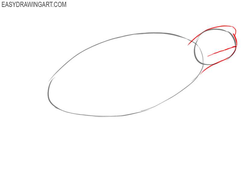 how to draw a sea turtle cartoon 