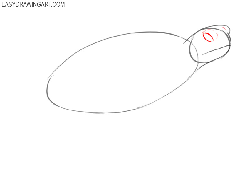 how to draw a sea turtle easy step by step 