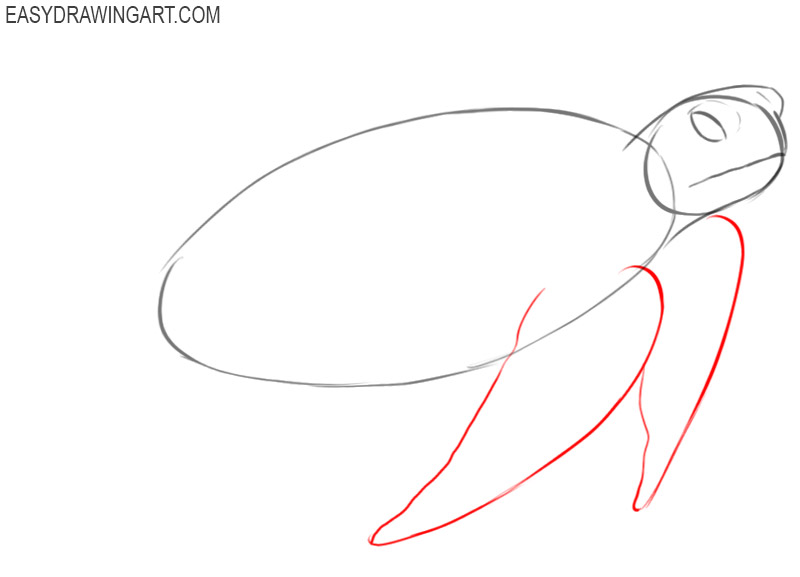 how to draw a sea turtle step by step 