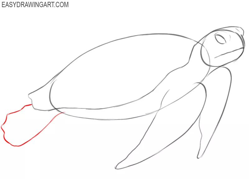 how to draw a sea turtle we draw animals 