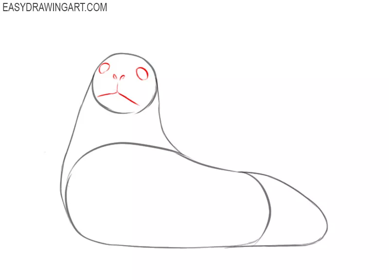 how to draw a seal cartoon