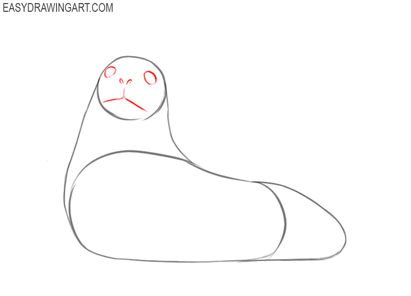how to draw a seal cartoon