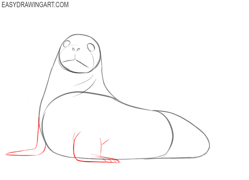 how to draw a seal step by step easy