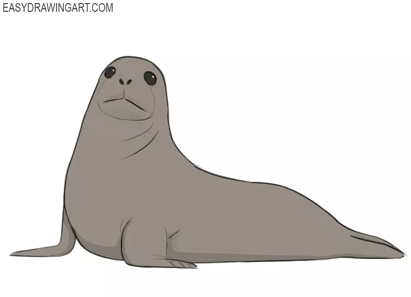 how to draw a seal