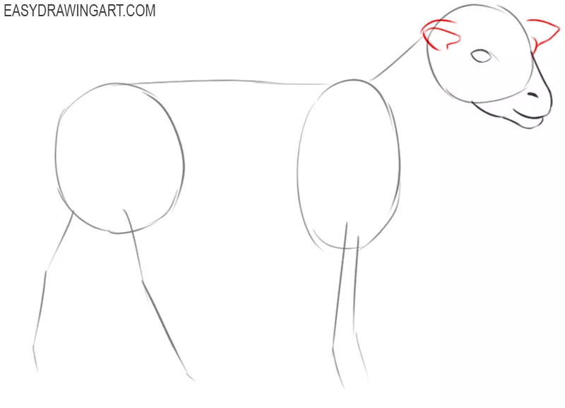 how to draw a sheep cartoon step by step