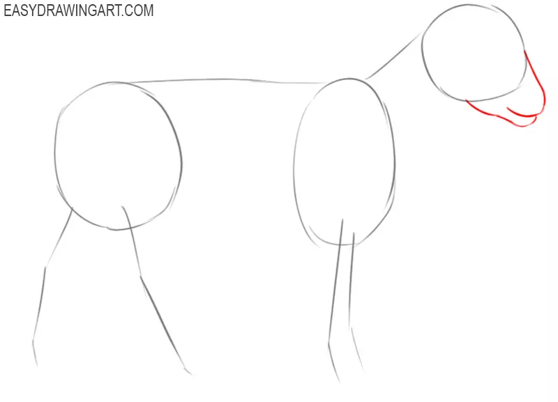 how to draw a sheep for kids