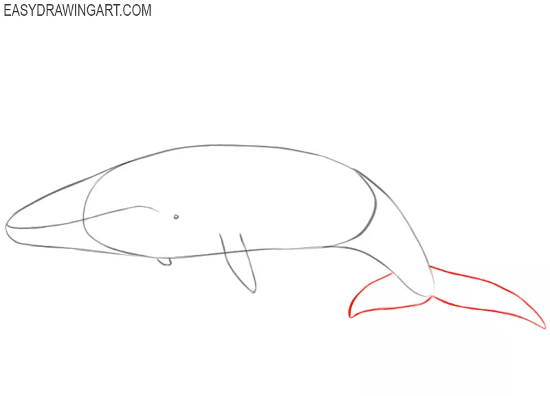 how to draw a simple blue whale
