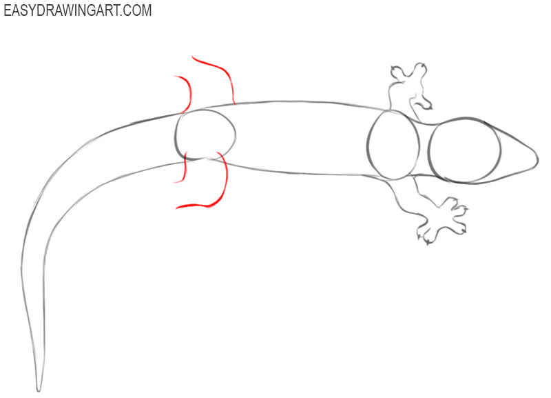 how to draw a simple cartoon gecko