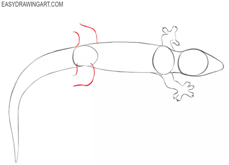 how to draw a simple cartoon gecko
