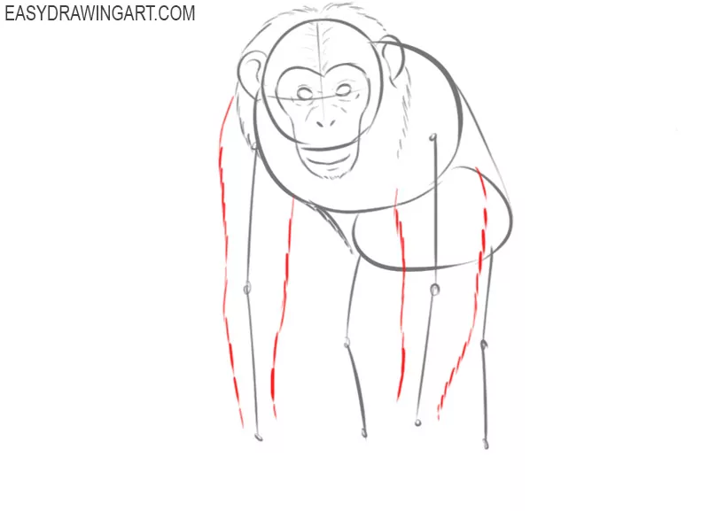 how to draw a simple chimpanzee