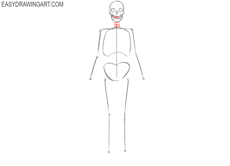 human skeleton easy drawing